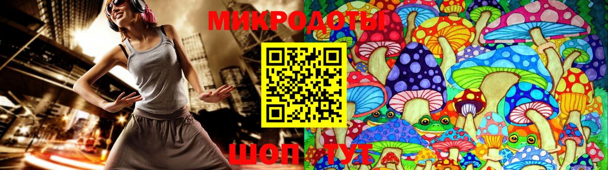 Галлюциногенные грибы Psilocybine cubensis Новомосковск