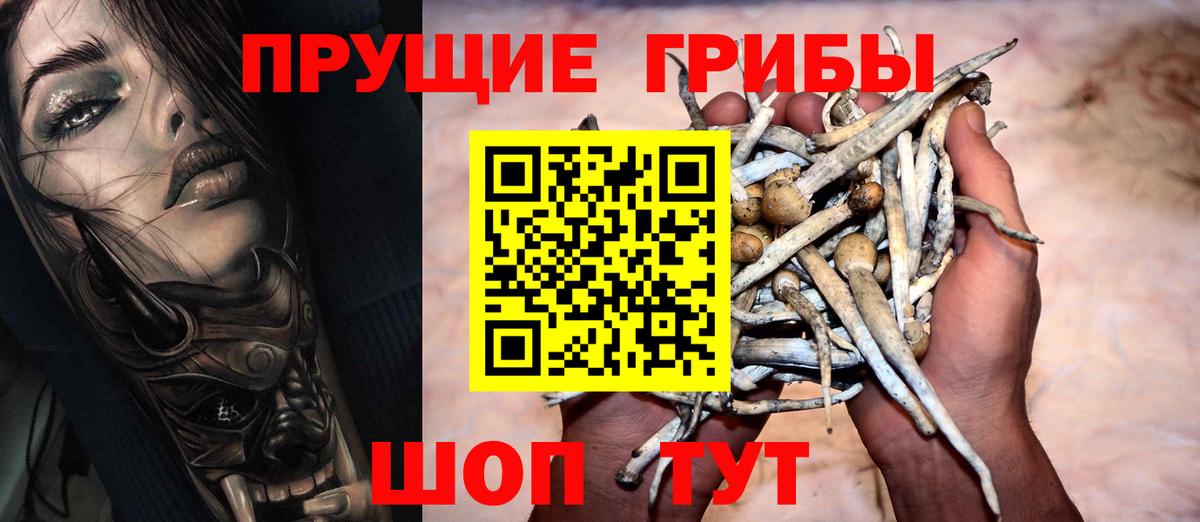 хочу   Галлюциногенные грибы прущие грибы  Новомосковск  Вход с VPN  Галлюциногенные грибы Cubensis 